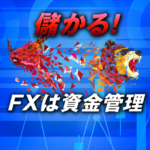 FXは資金管理をしっかり行えば儲かります！