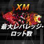 XMの最大レバレッジは1,000倍！ロット数とレバレッジの関係性は？